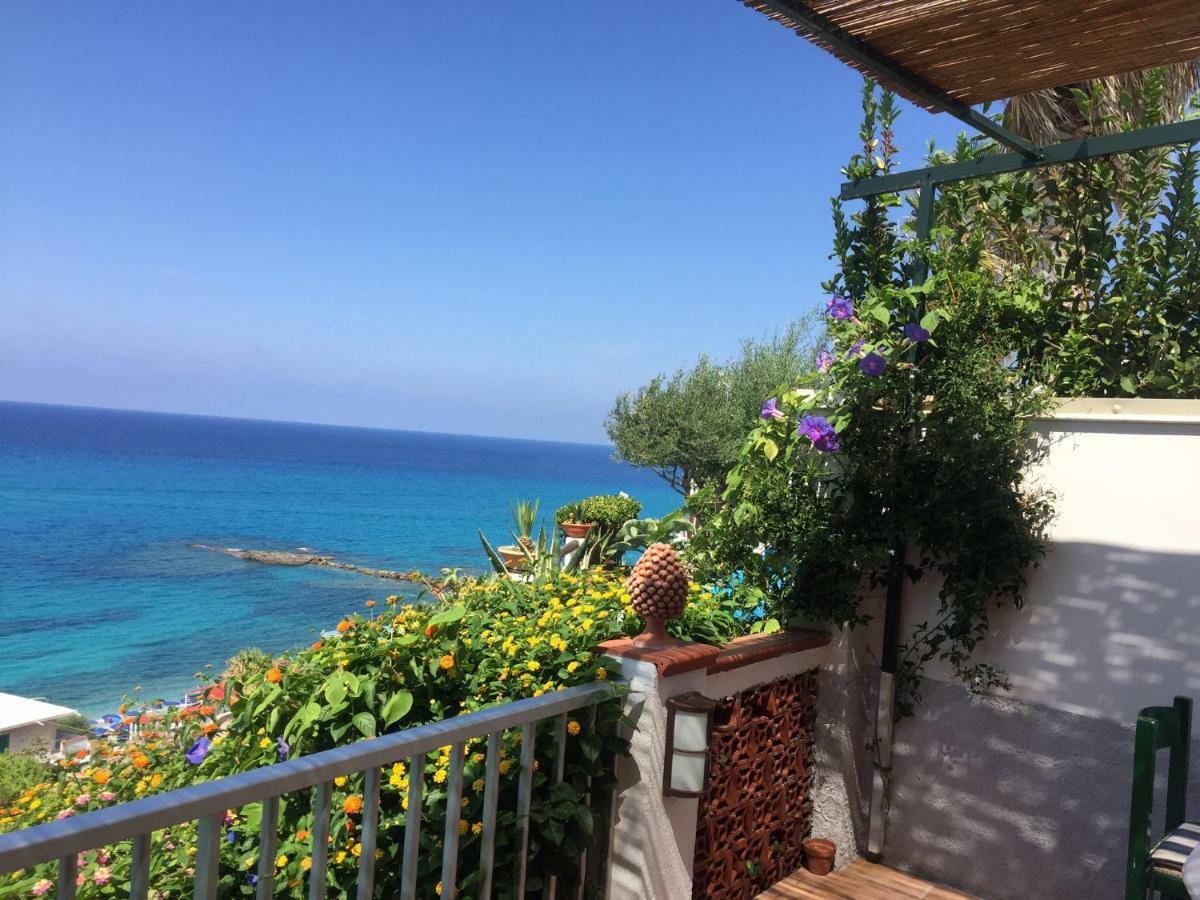 La Marinette Lägenhet Tropea Exteriör bild