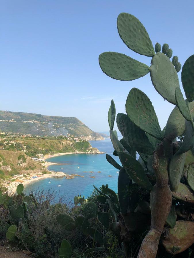La Marinette Lägenhet Tropea Exteriör bild